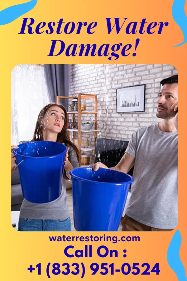 water restoration Titan Damage Restoration Network Gulf Stream