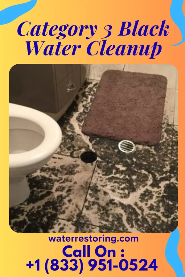 Category 3 Black Water Cleanup in Gulf Stream, FL